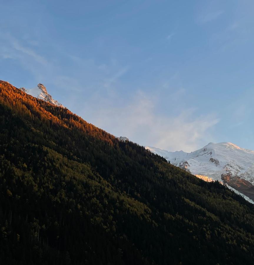 Center & Unique Mountain View Apartment Chamonix Exterior photo